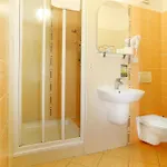 Hotel Straznice ホテル 3*