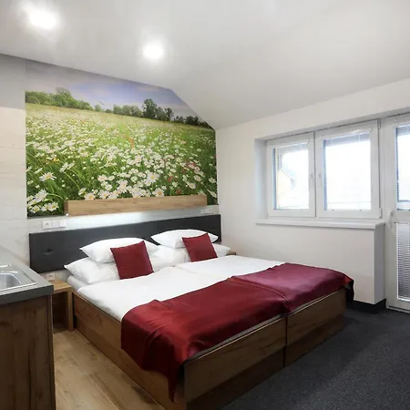 Hotel Straznice Hotell 3*