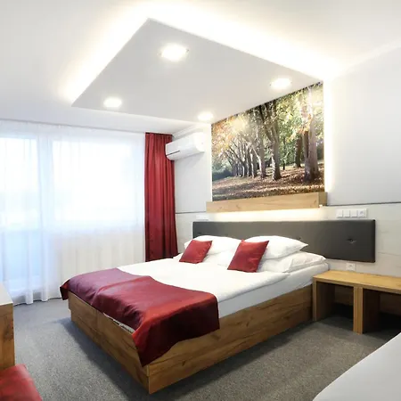 Hotel Straznice 3*