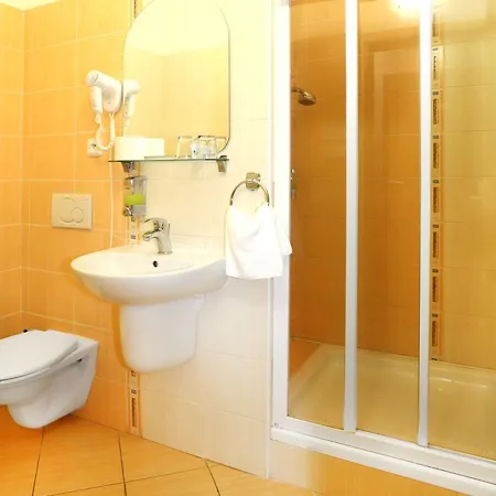 Hotel Straznice ホテル