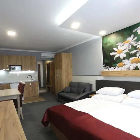 Hotel Straznice Hotell 3*