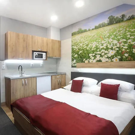 Hotell Hotel Straznice