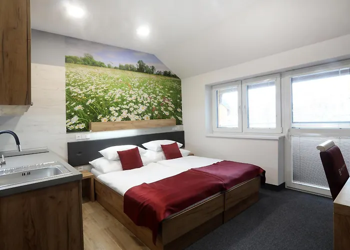 Hotel Straznice Hotel 3*