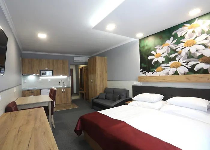 Hotel Strážnice Hotel 3*